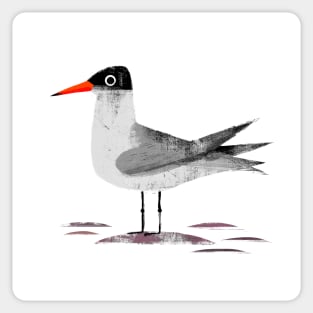 Caspian Tern Sticker